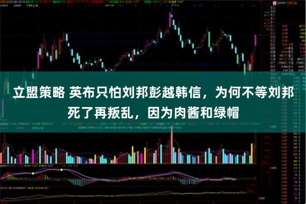 立盟策略 英布只怕刘邦彭越韩信，为何不等刘邦死了再叛乱，因为肉酱和绿帽