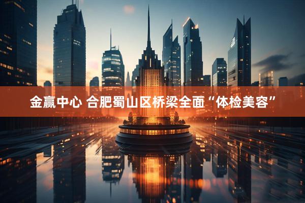 金赢中心 合肥蜀山区桥梁全面“体检美容”