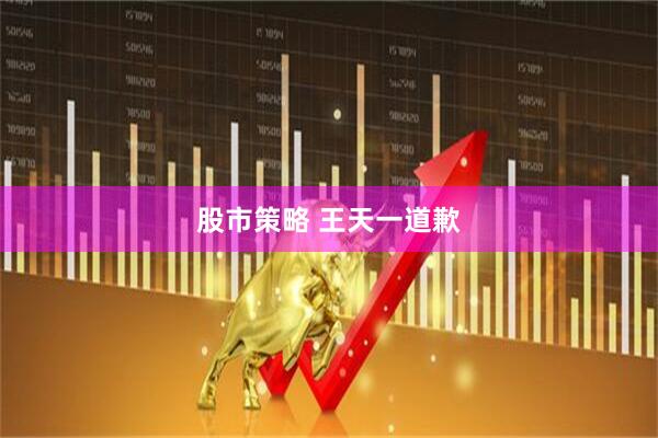 股市策略 王天一道歉