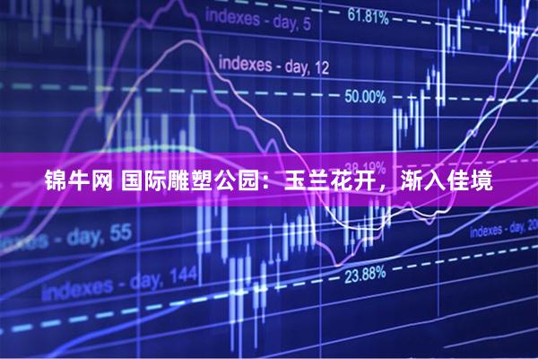 锦牛网 国际雕塑公园：玉兰花开，渐入佳境